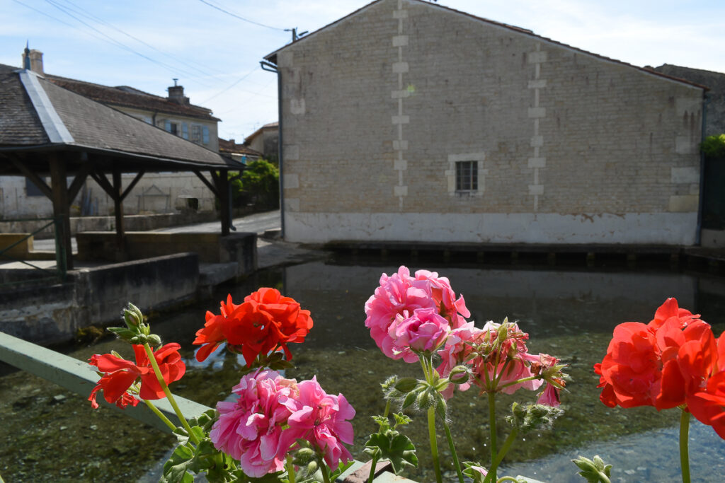 Le lavoir de Migron (17)